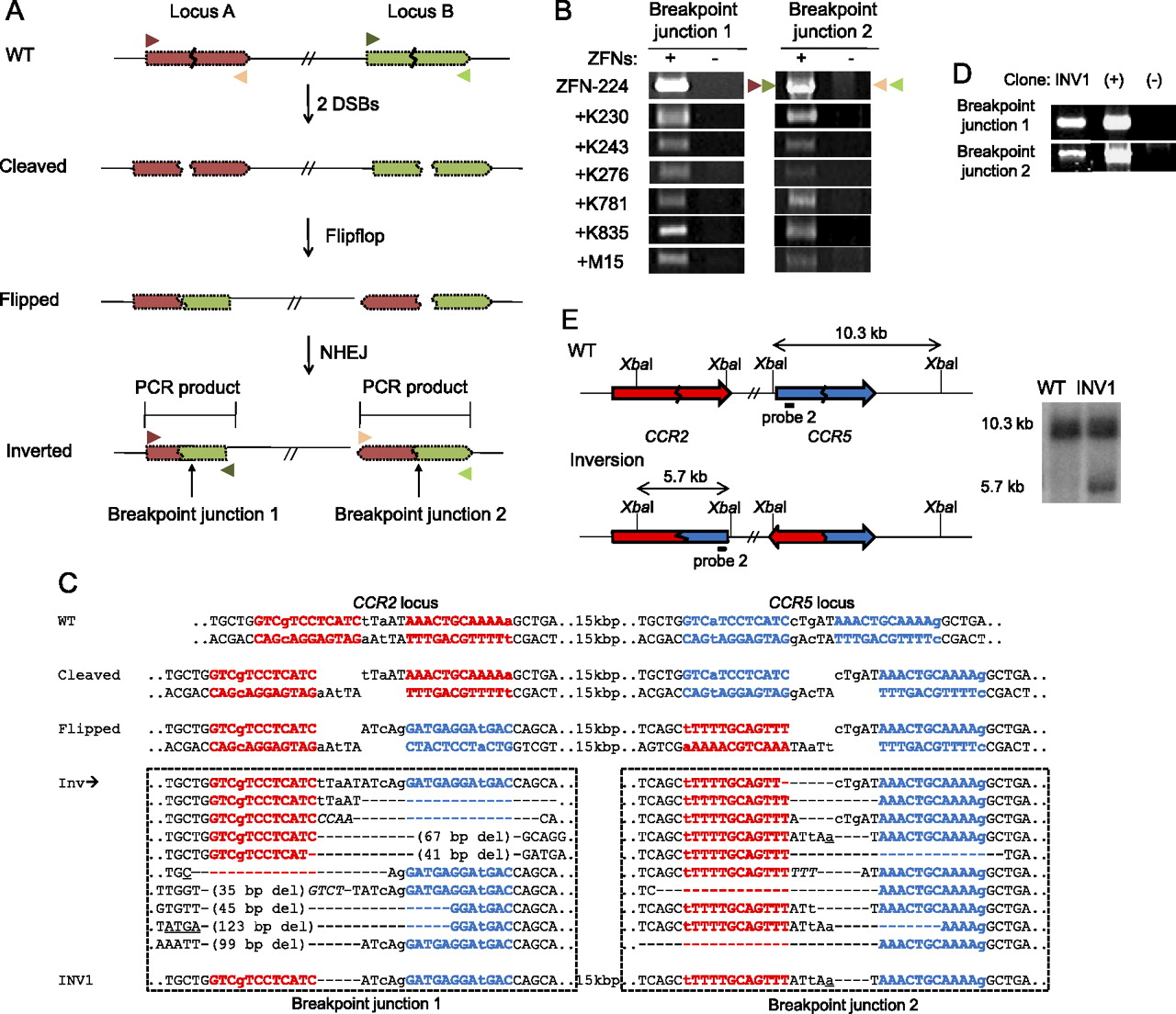 539fig3