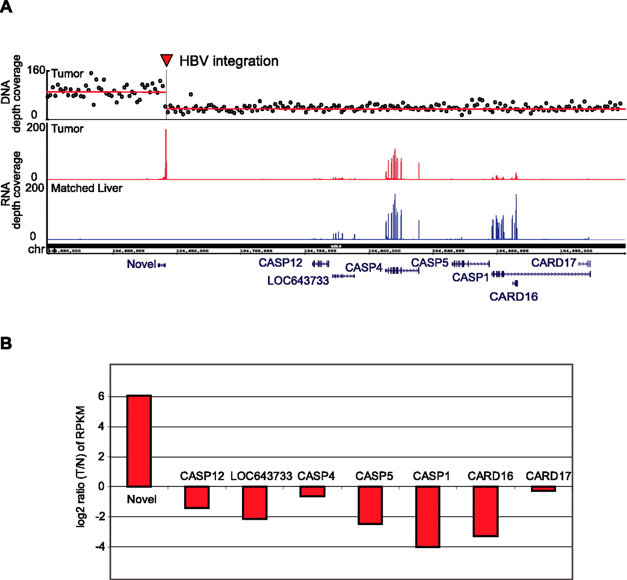 593fig3
