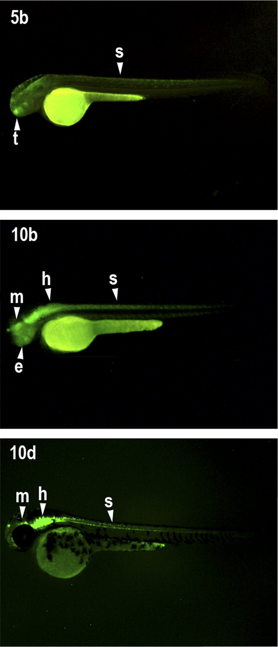642fig4