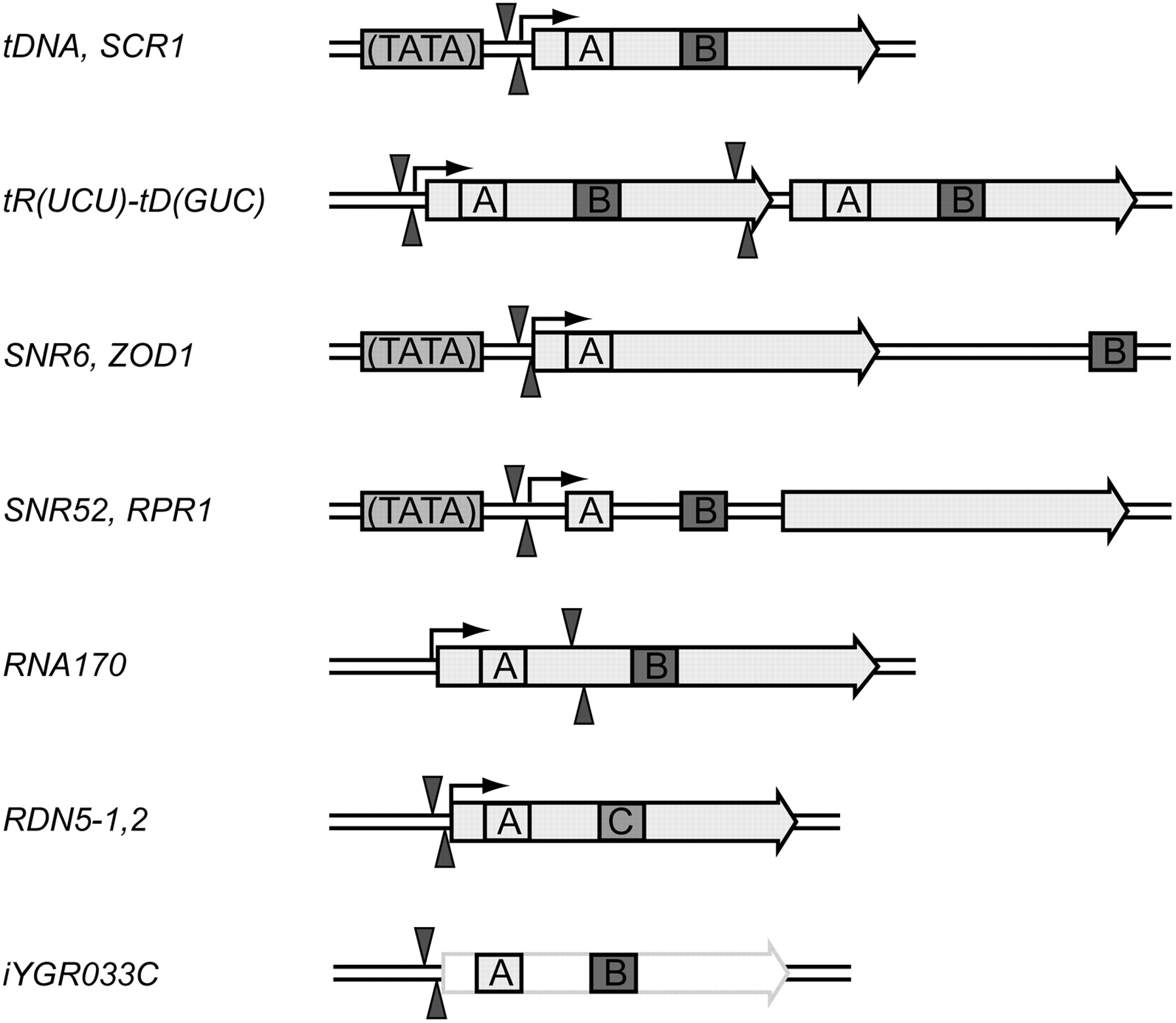 681fig4