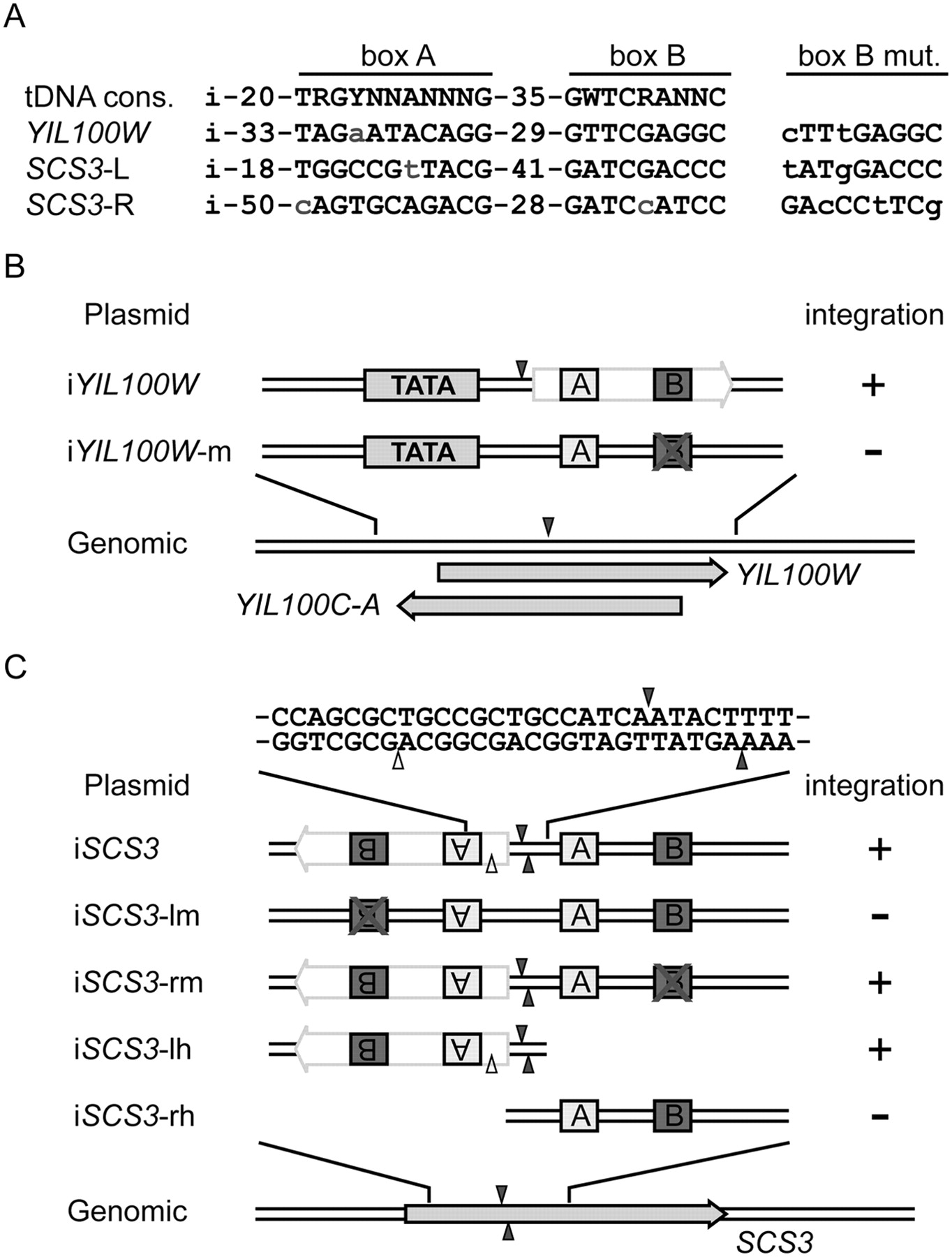 681fig6
