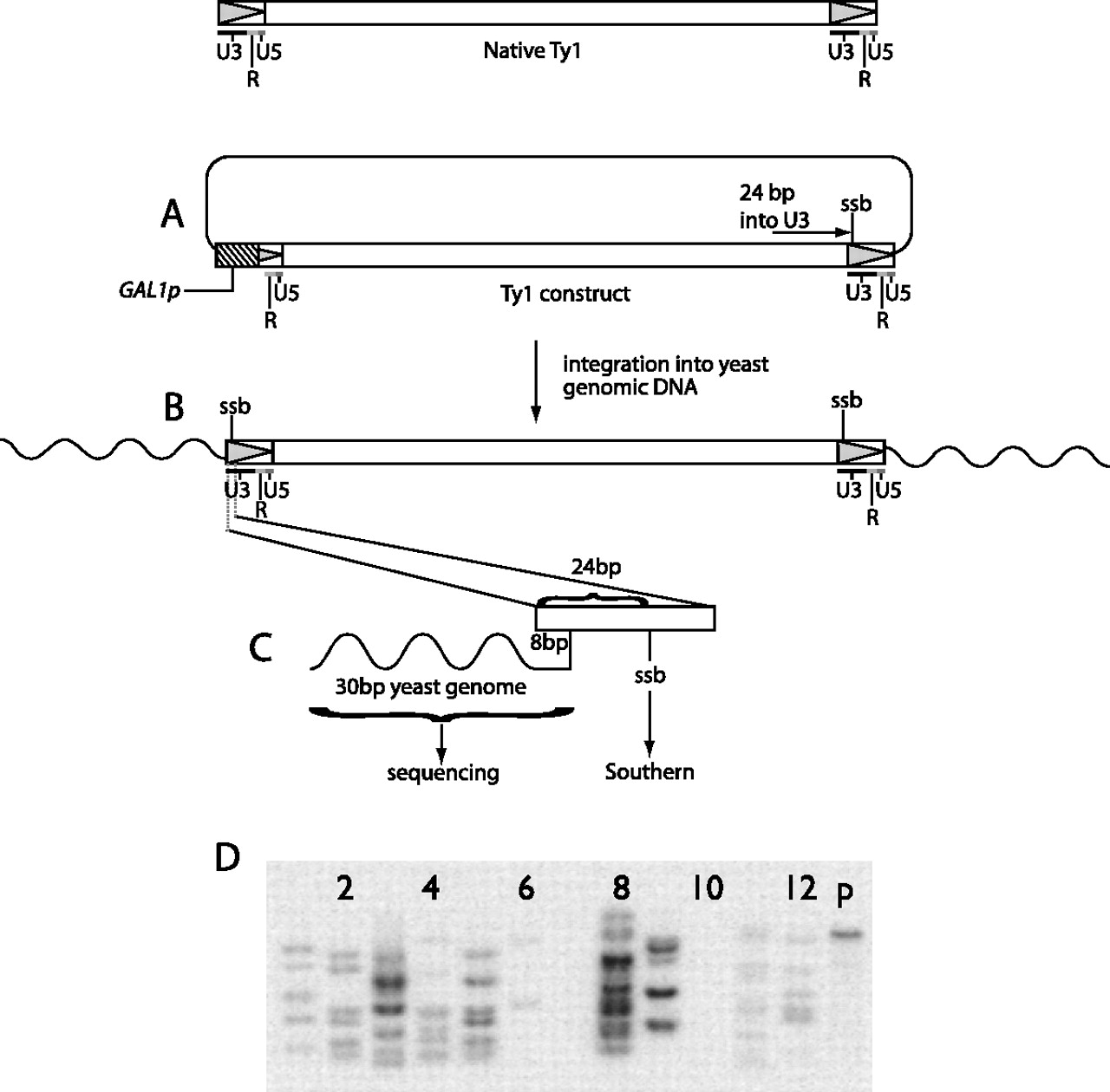 693fig1