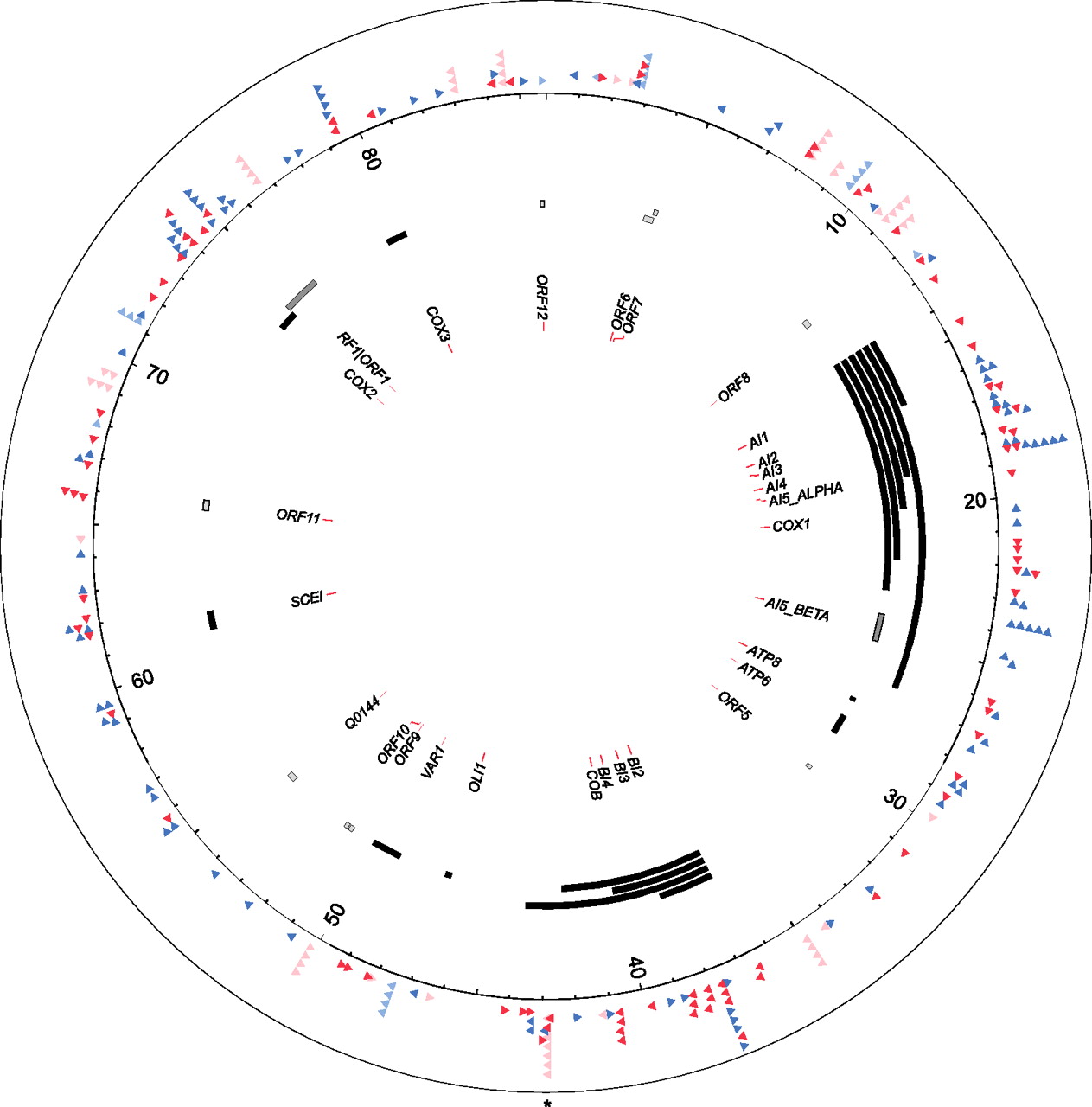 693fig4