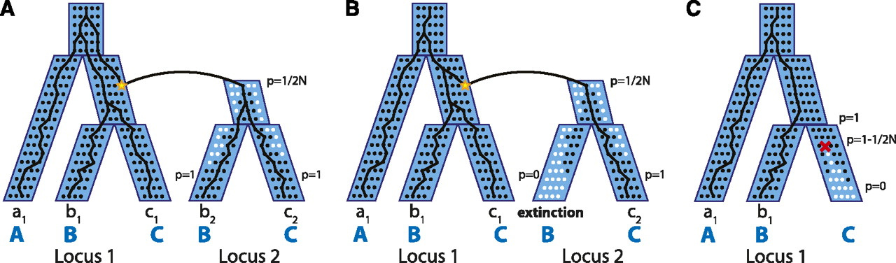 755fig2