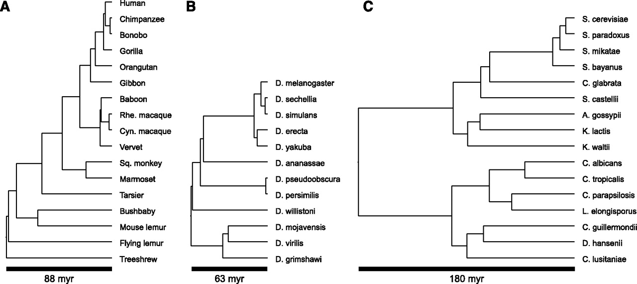 755fig4