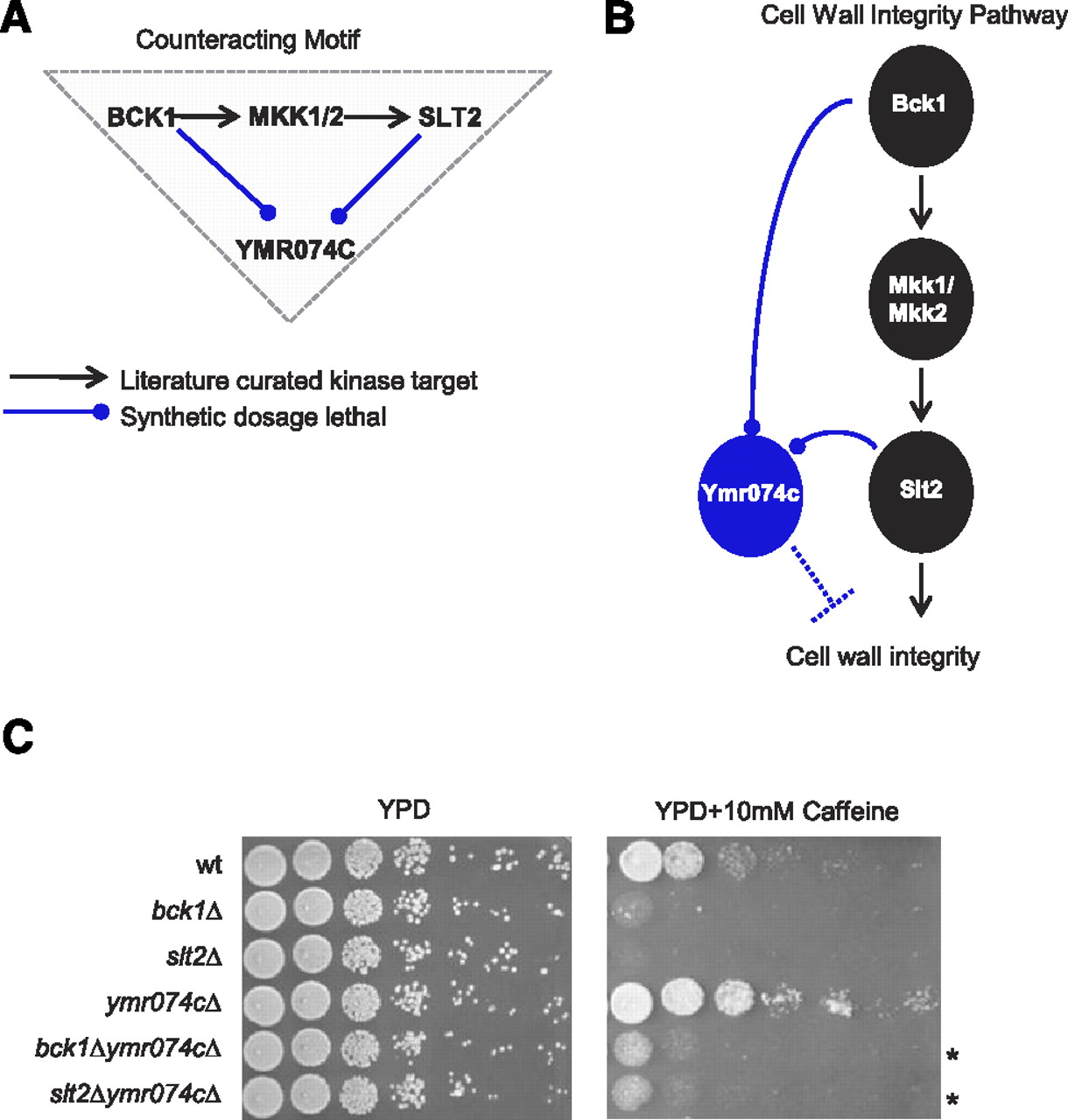 791fig3