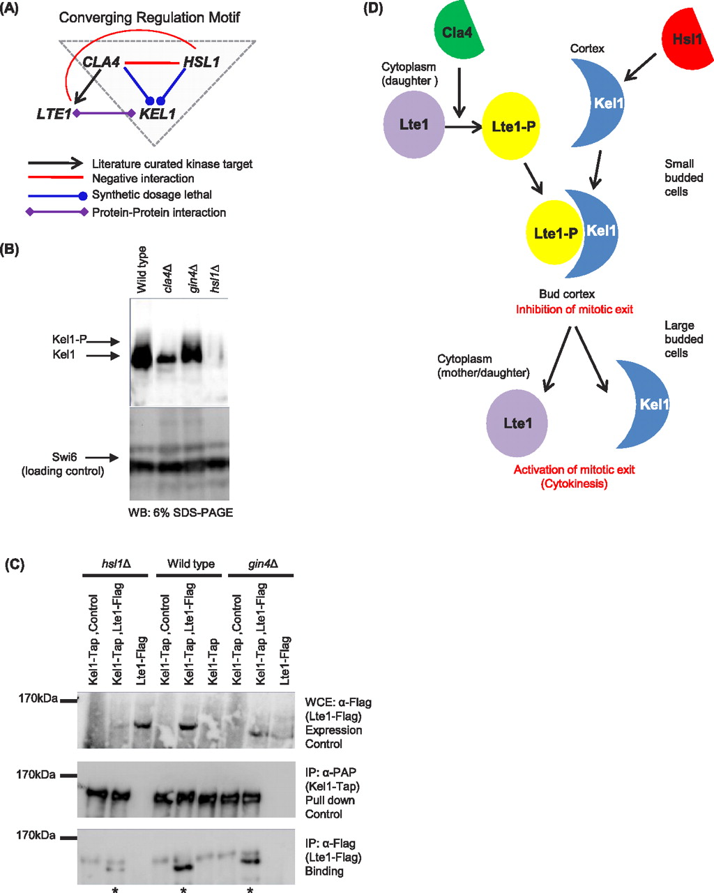 791fig4