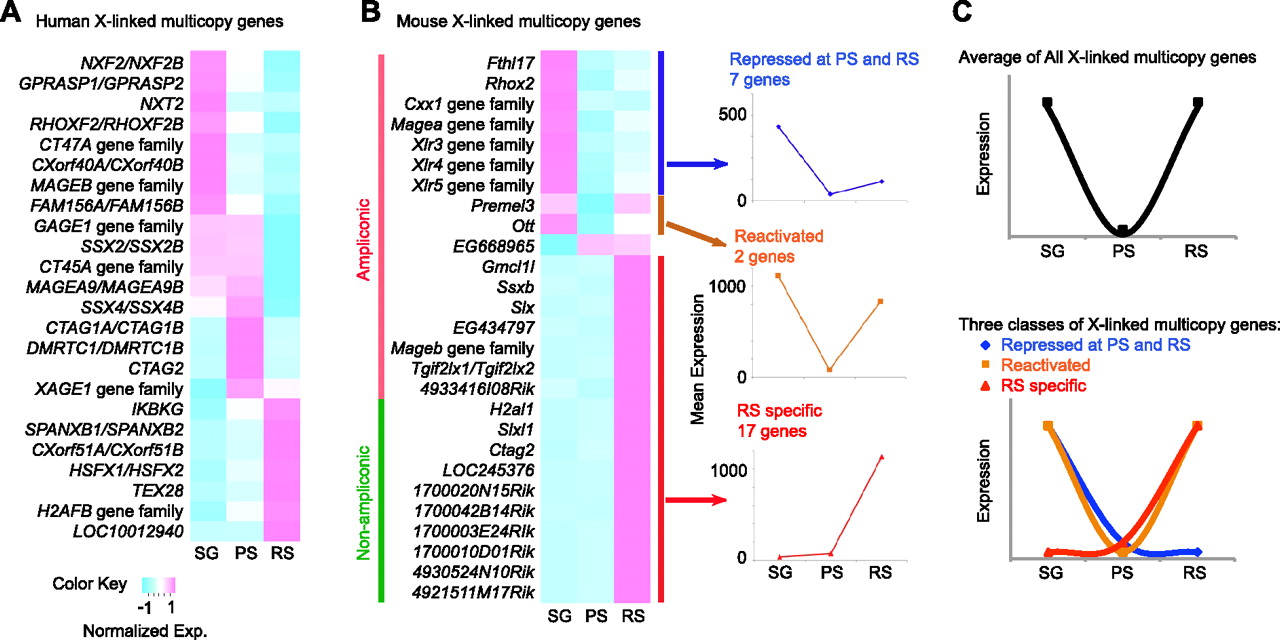 827fig4