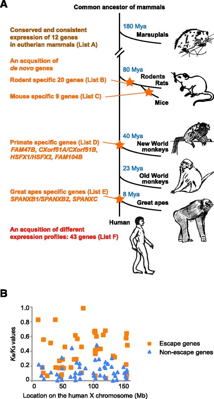 827fig6