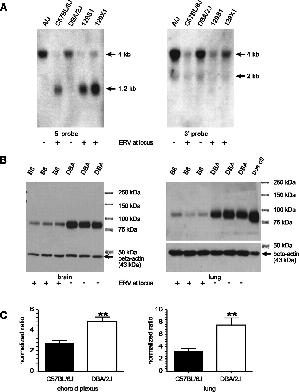 870fig3