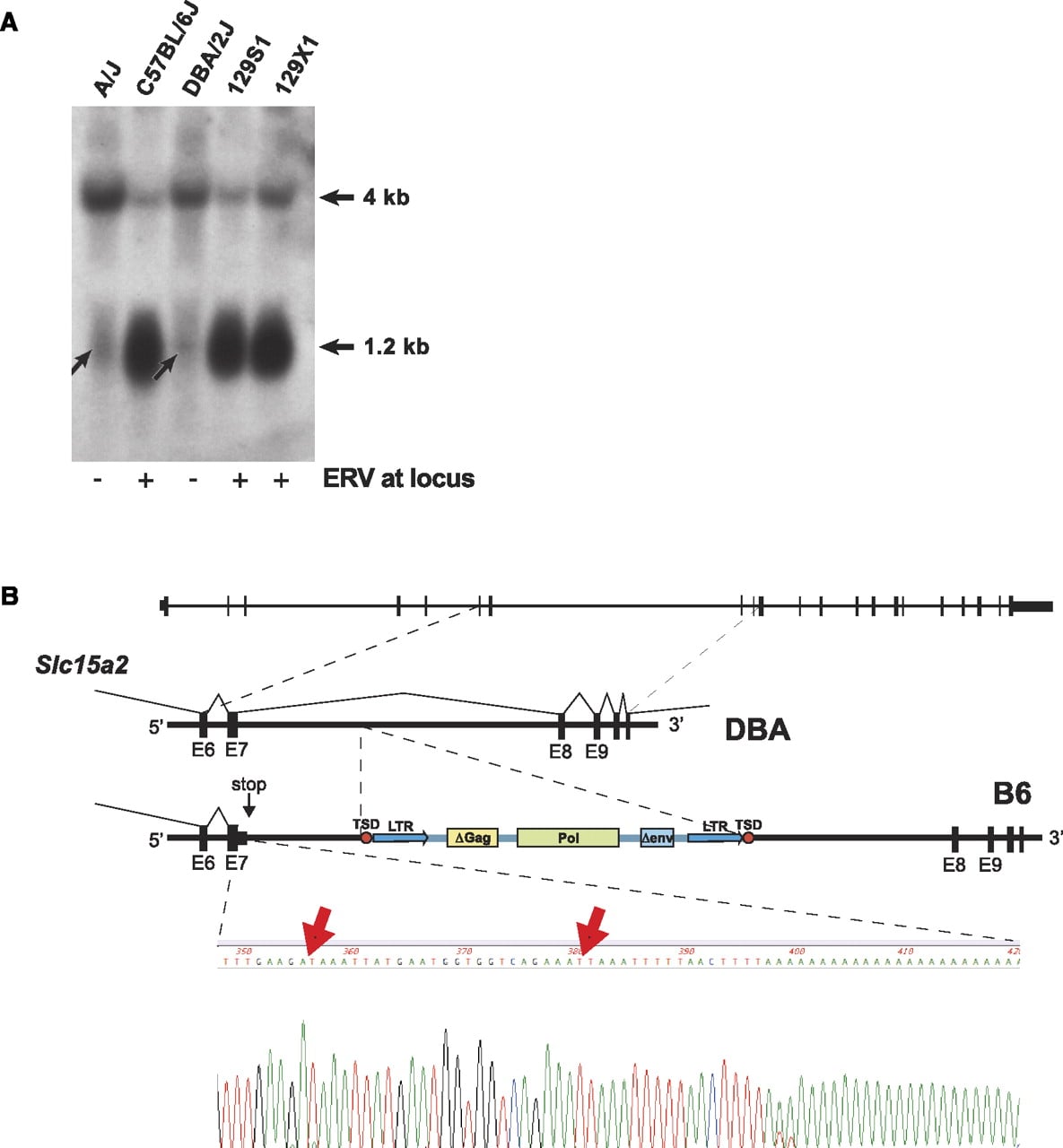 870fig4