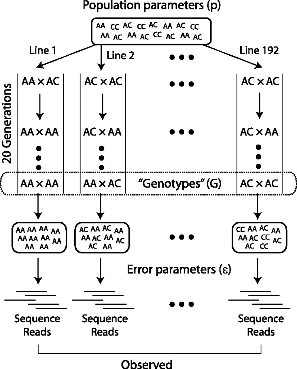 966fig2