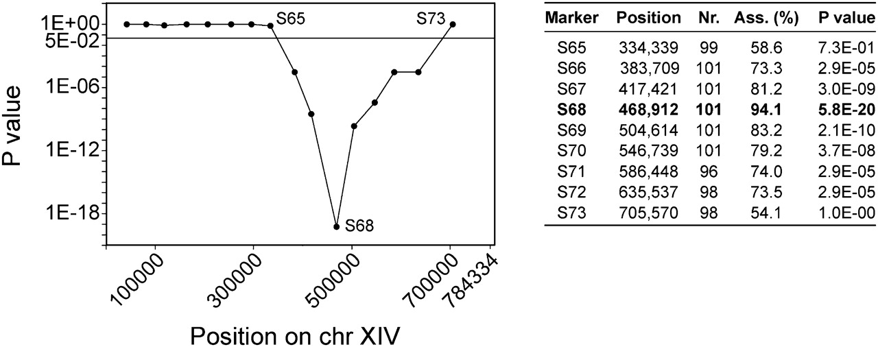 975fig3