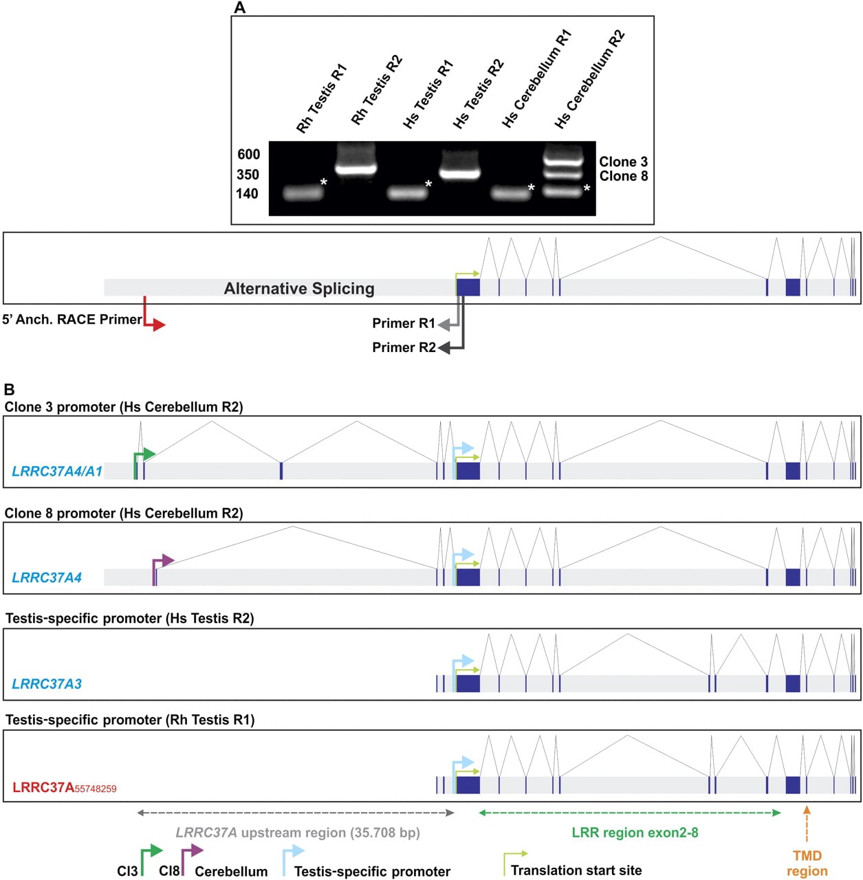 1050fig1