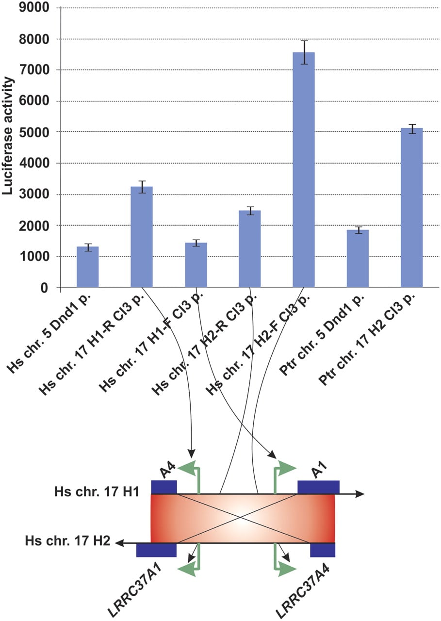 1050fig4