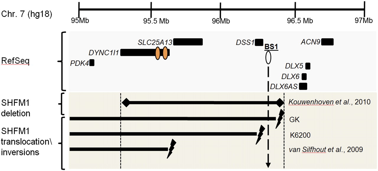 1059fig5