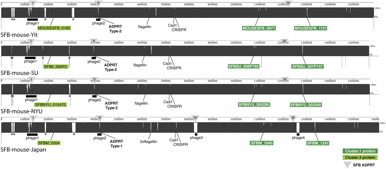 1107fig3