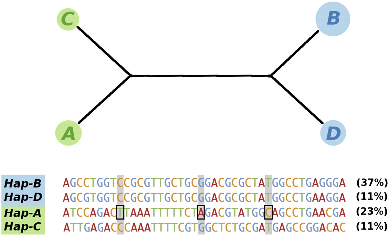 1144fig4