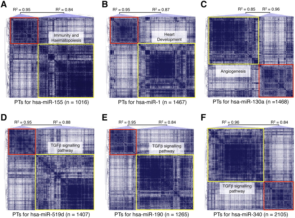 1163fig3