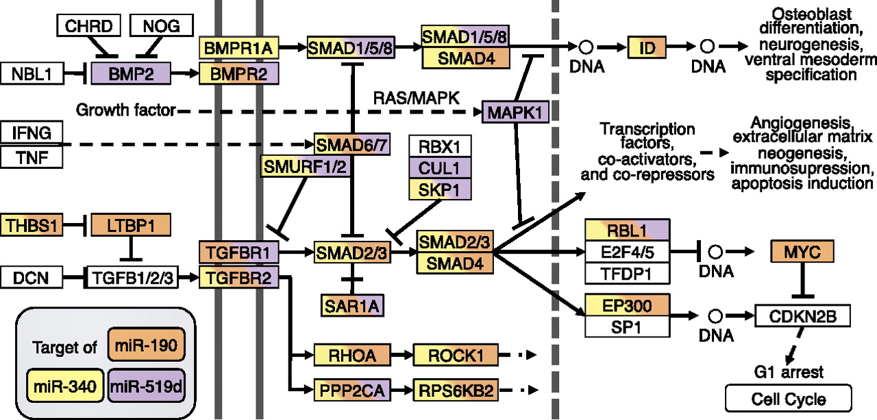 1163fig4
