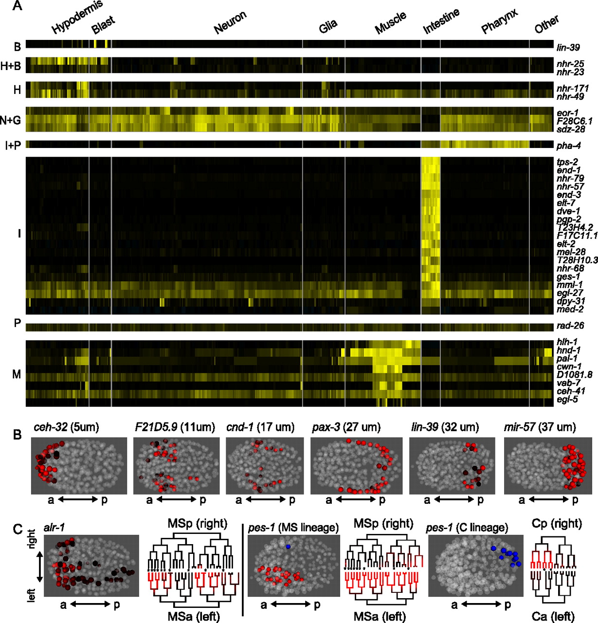1282fig4