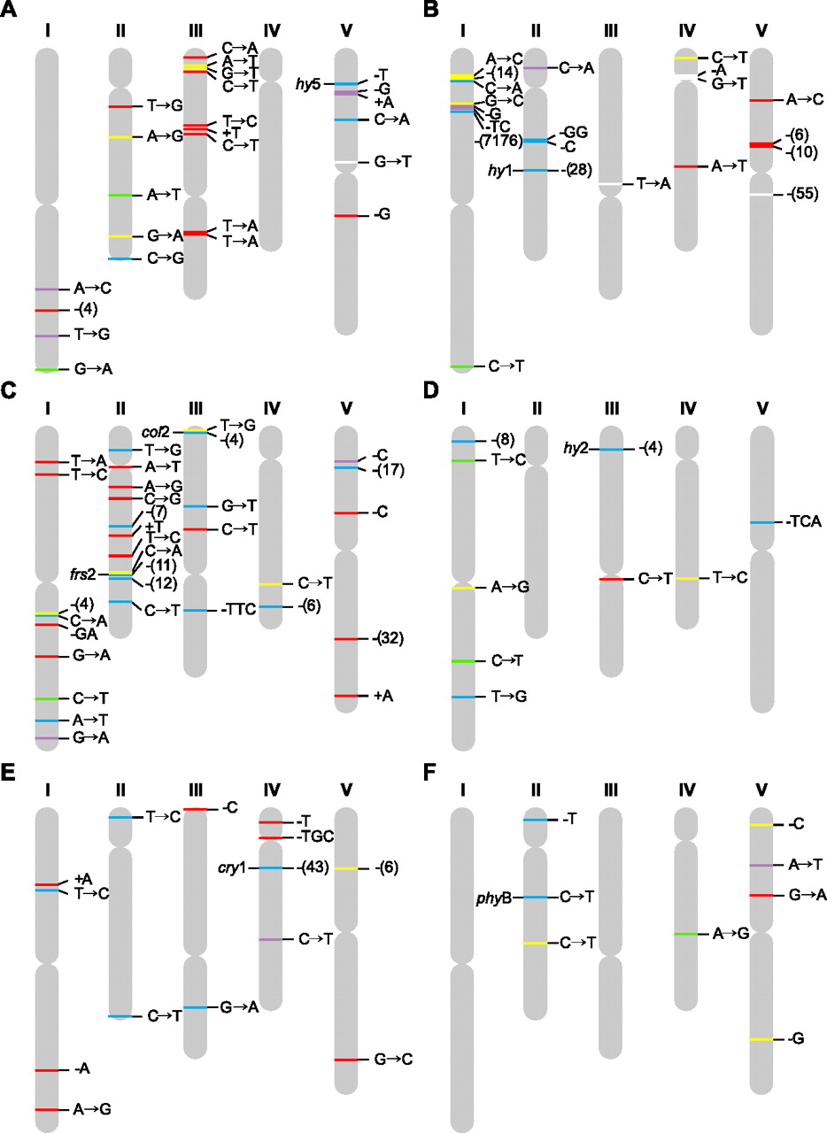 1306fig2