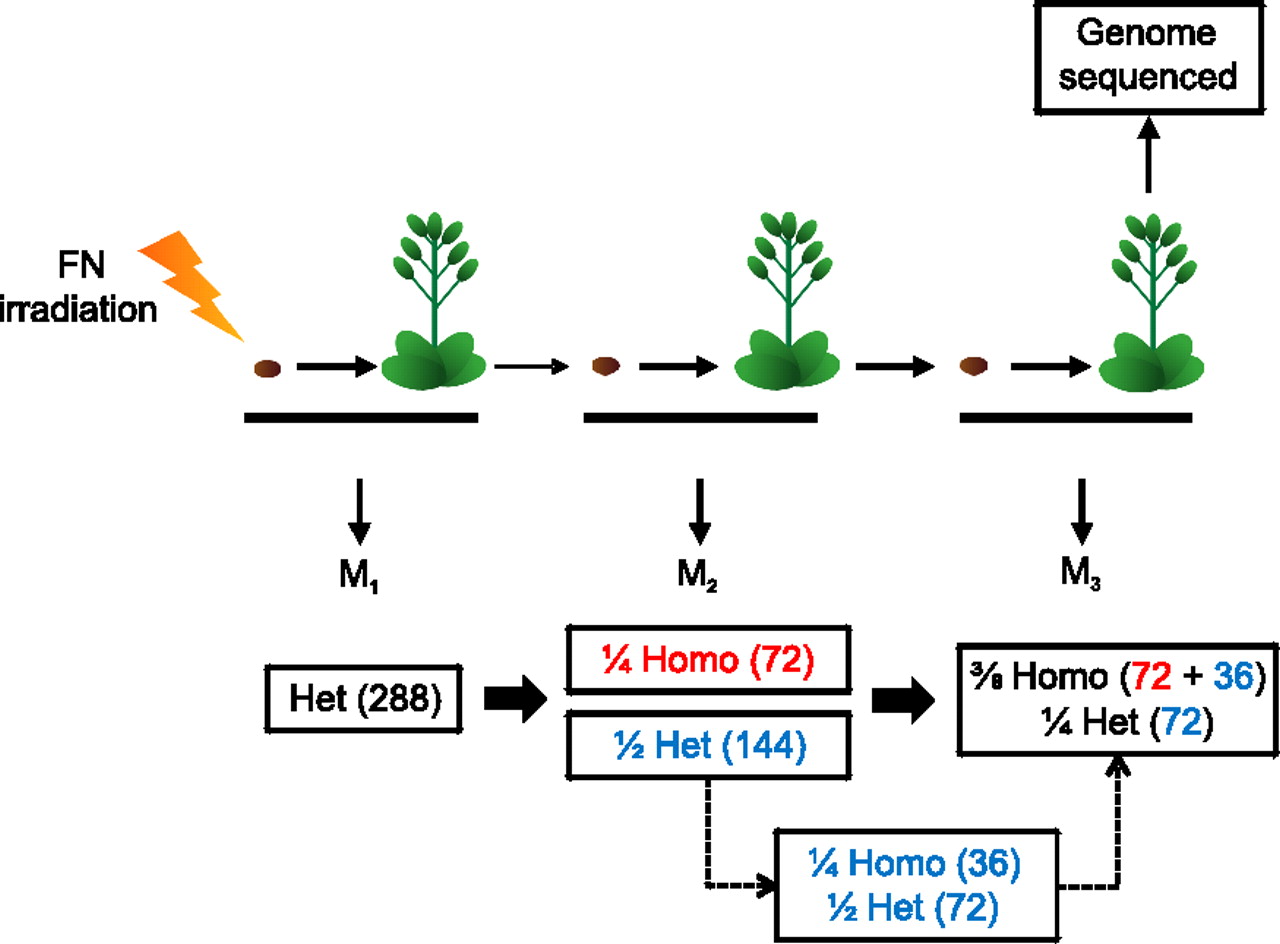 1306fig3
