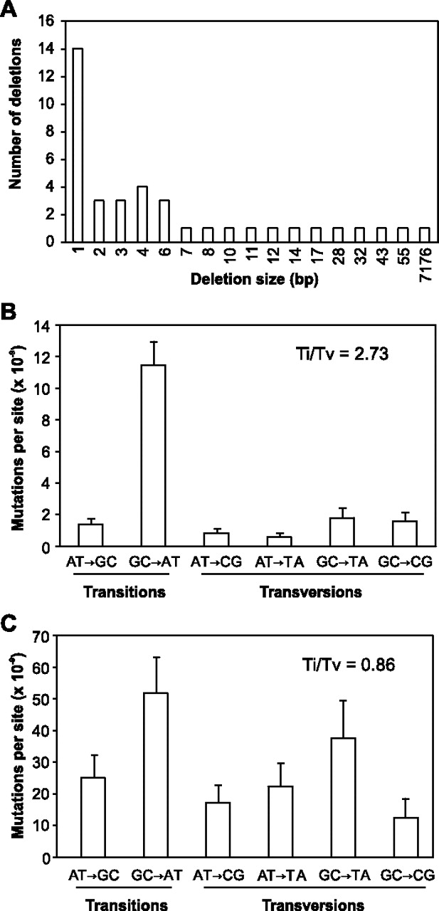 1306fig4