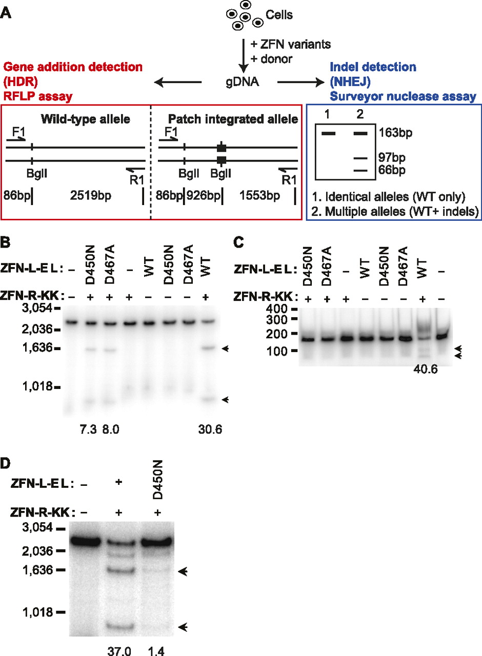 1316fig3