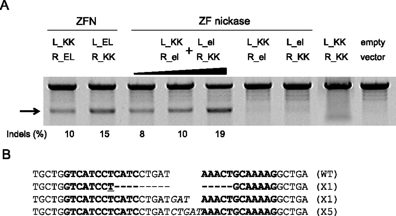 1327fig4