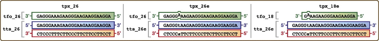 1372fig4