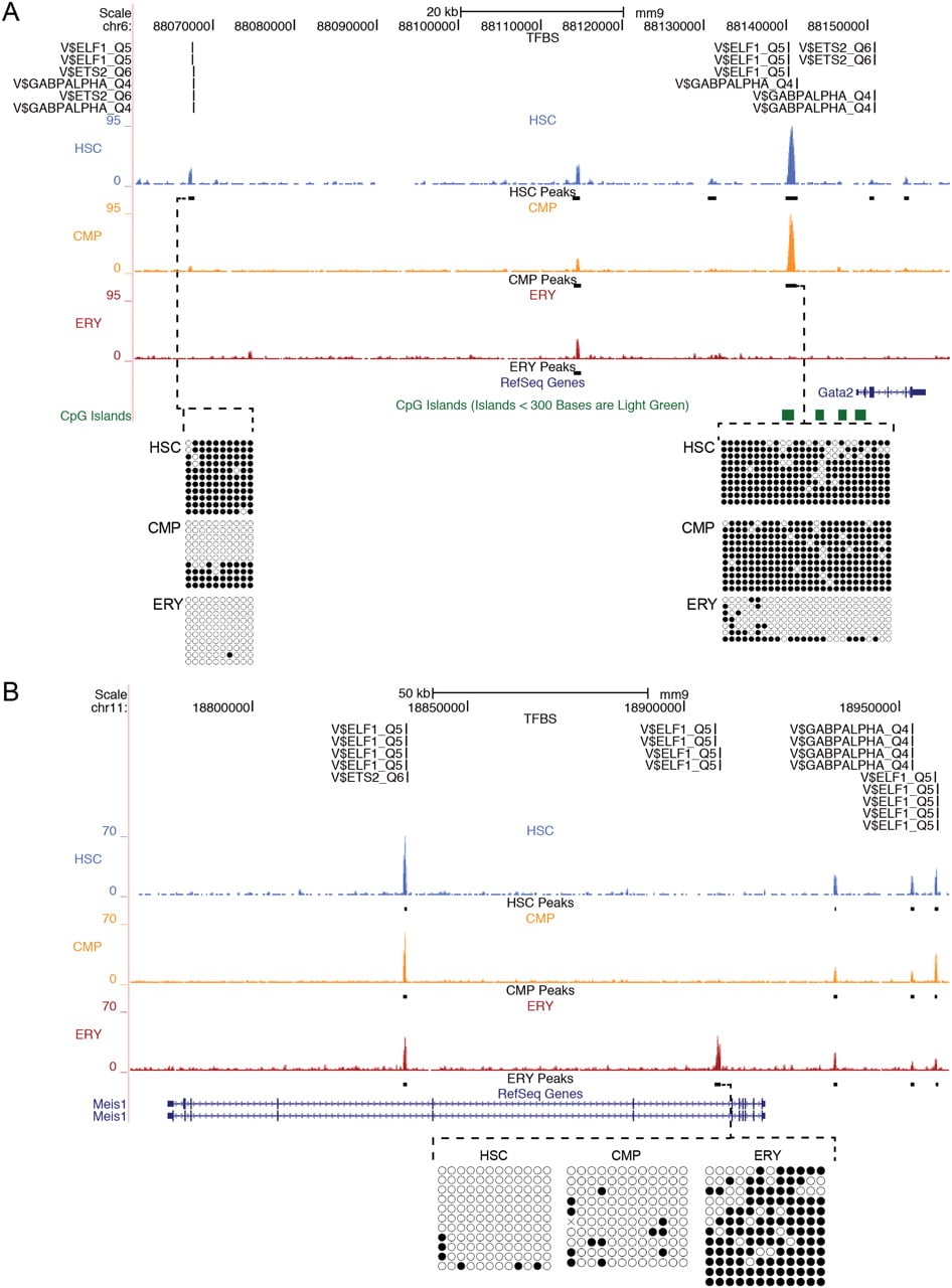 1407fig3