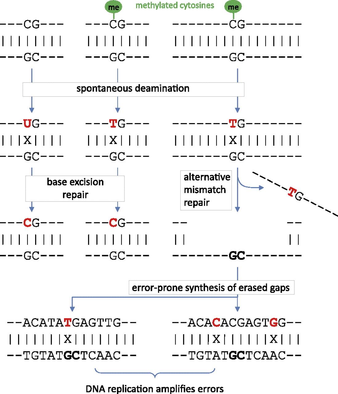 1419fig4