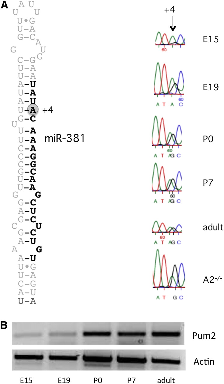 1477fig6