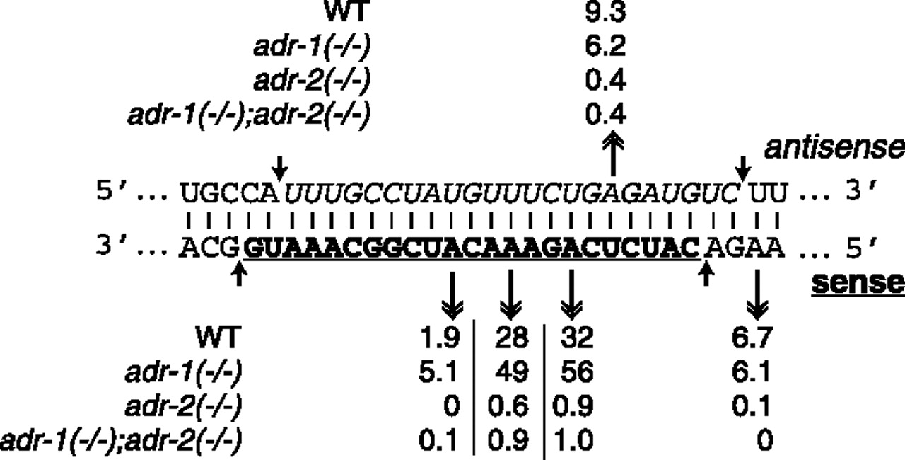1488fig6