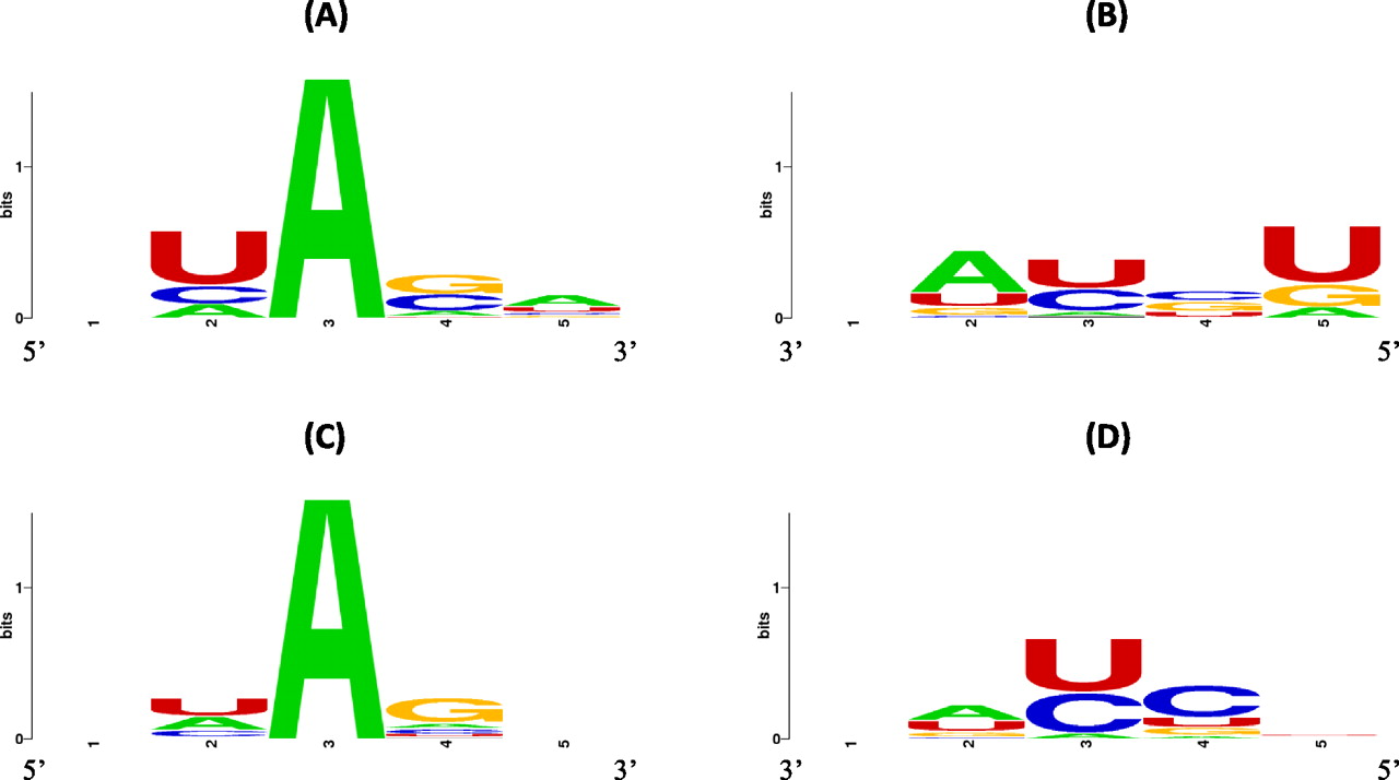 1533fig2