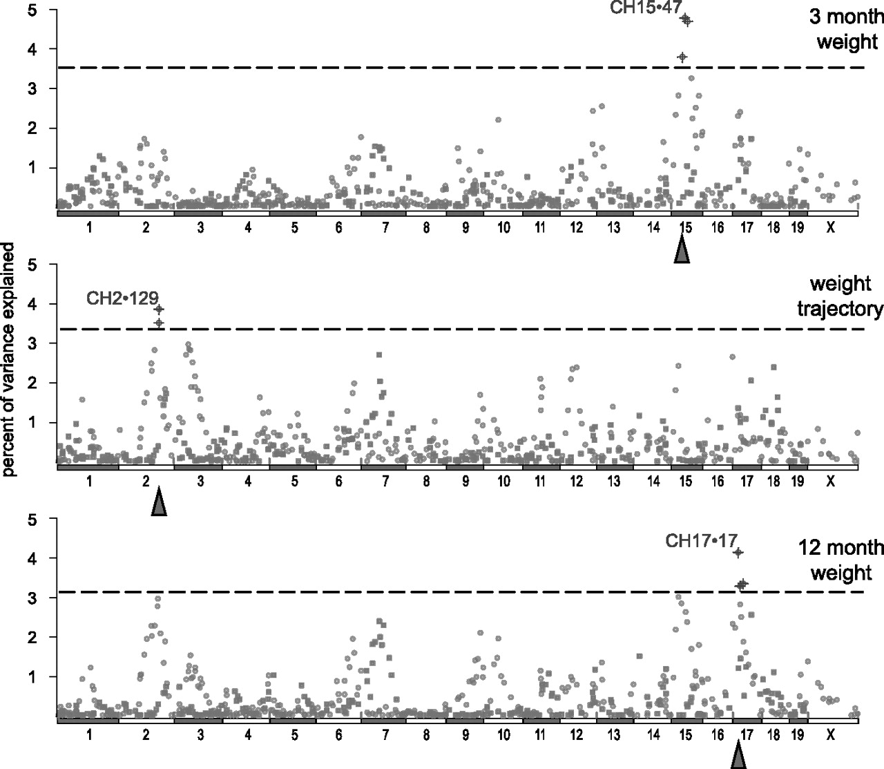 1549fig4