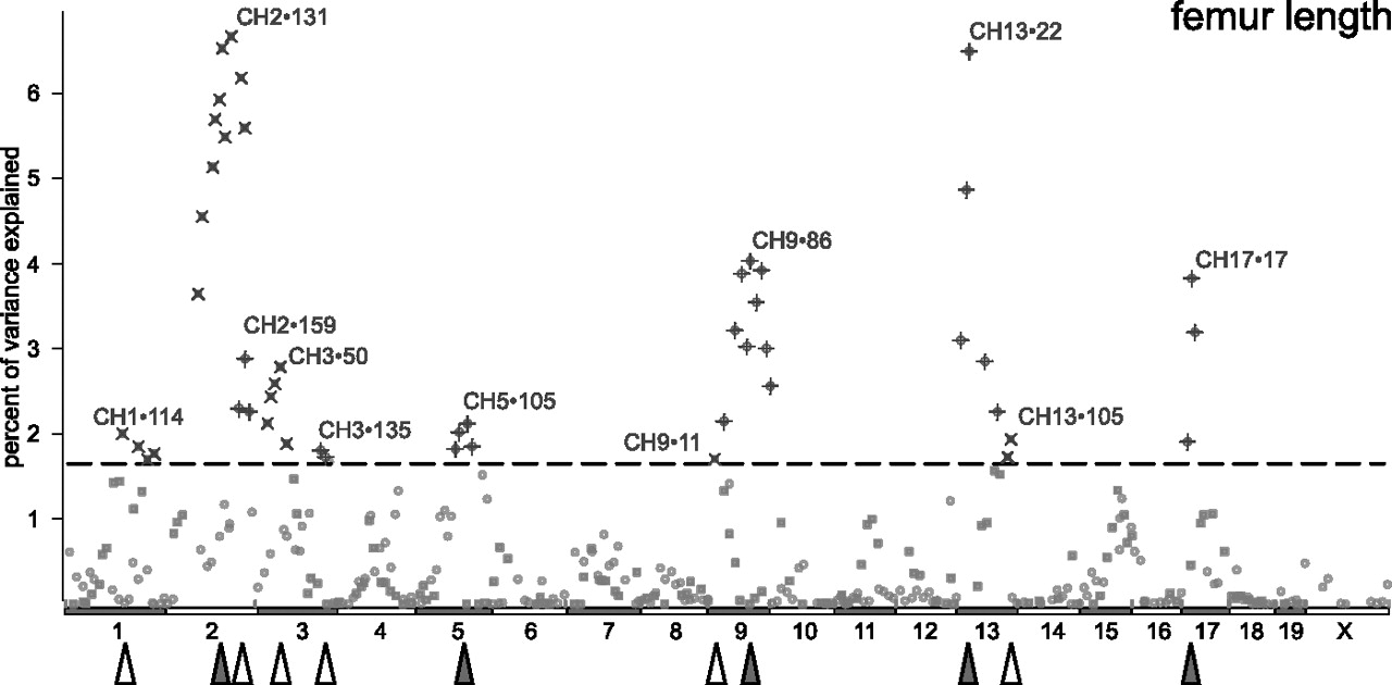 1549fig6