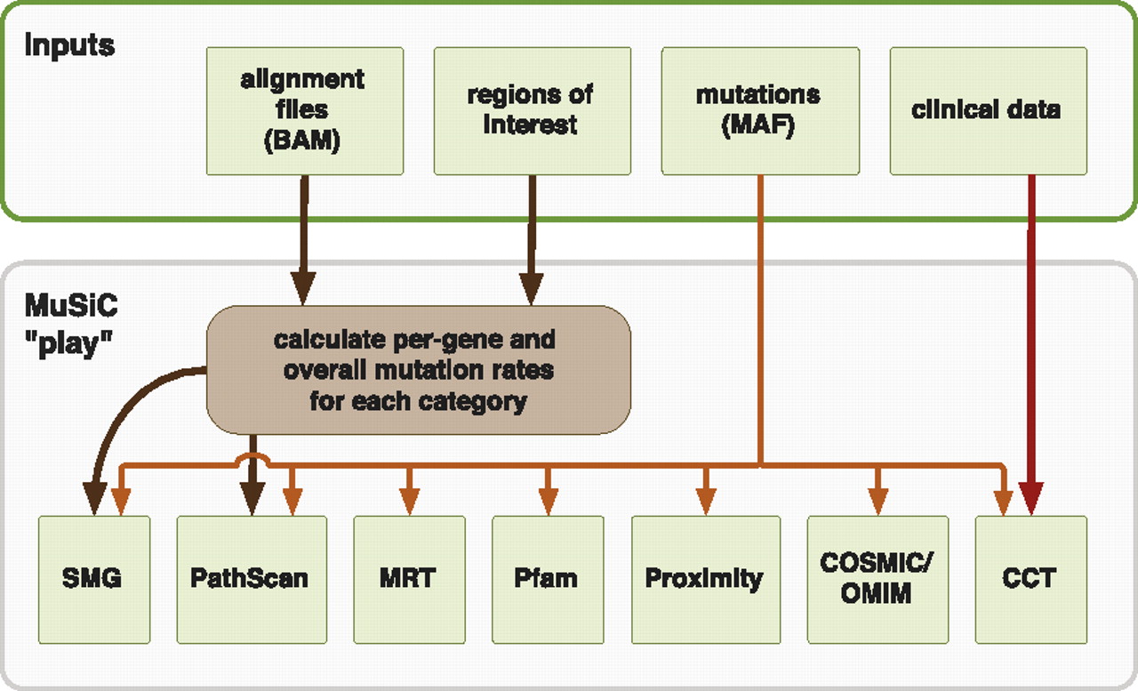 1589fig1