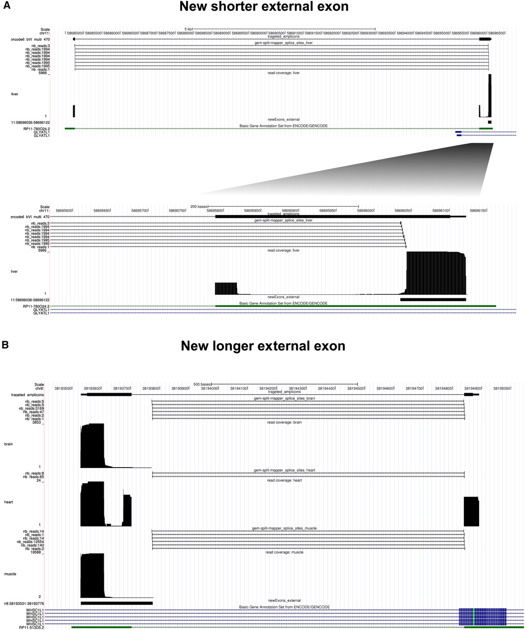 1698fig4