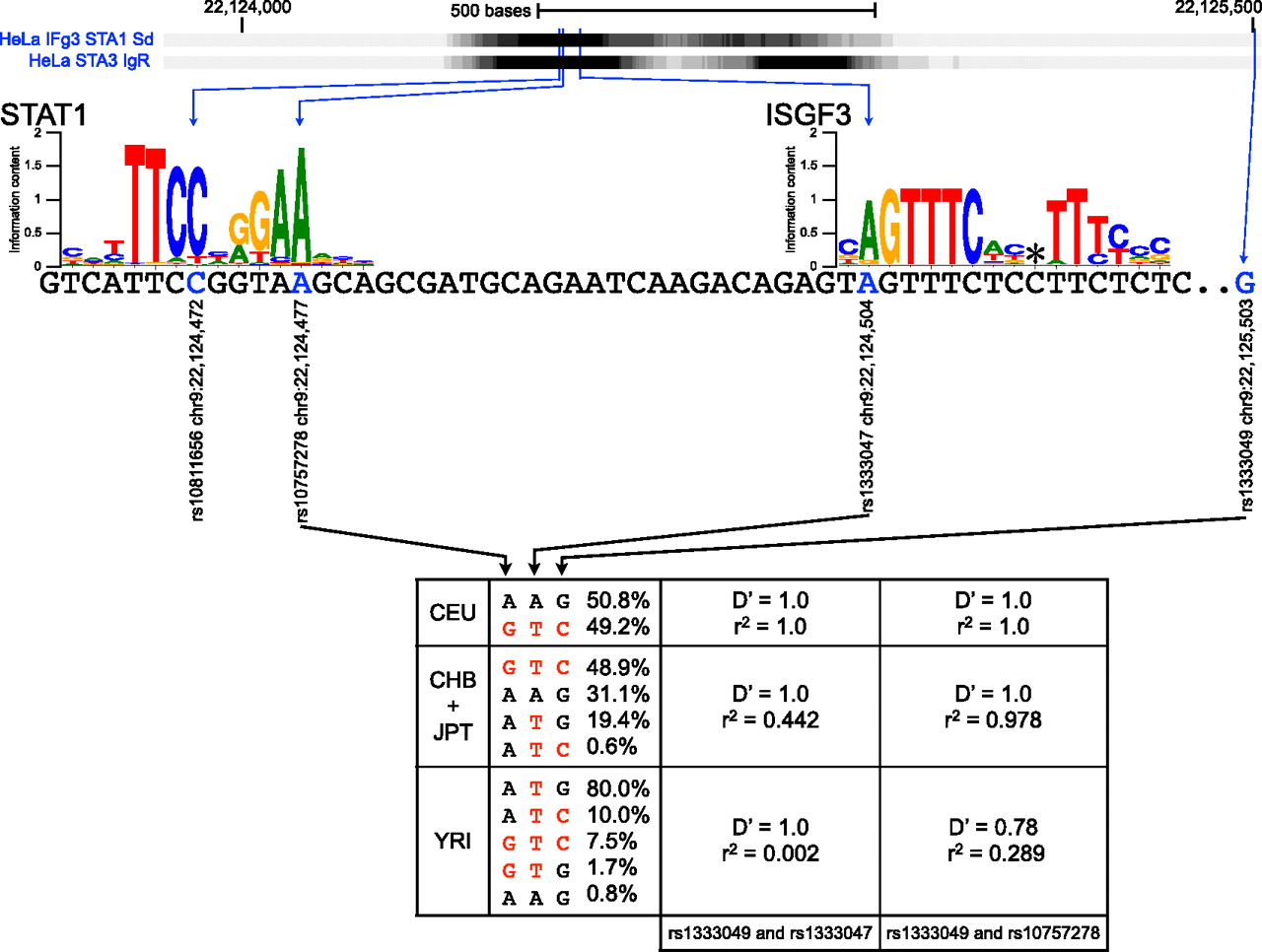 1748fig6
