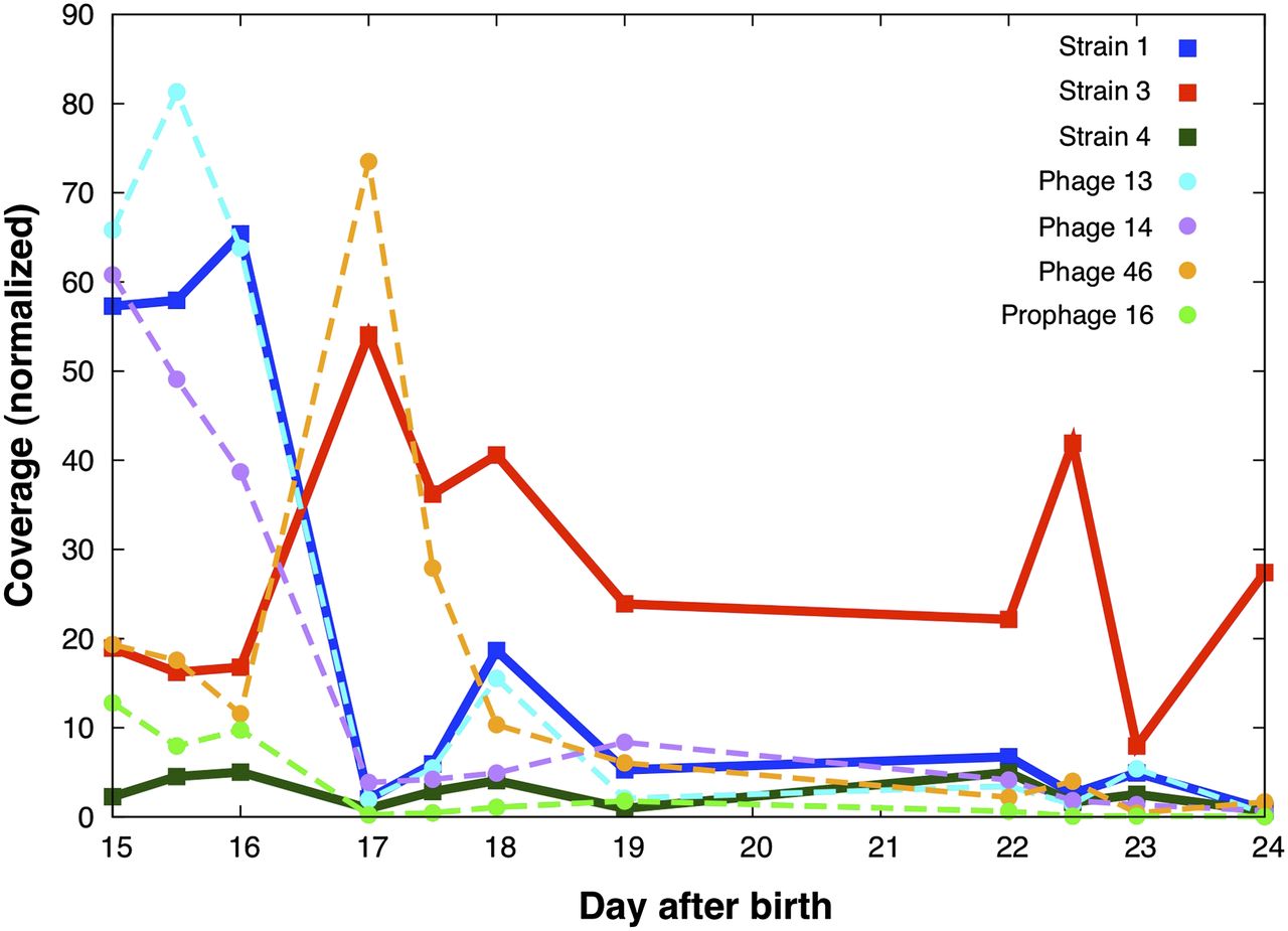 111fig3