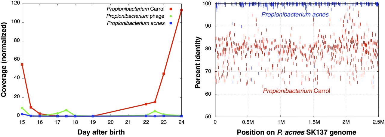 111fig4