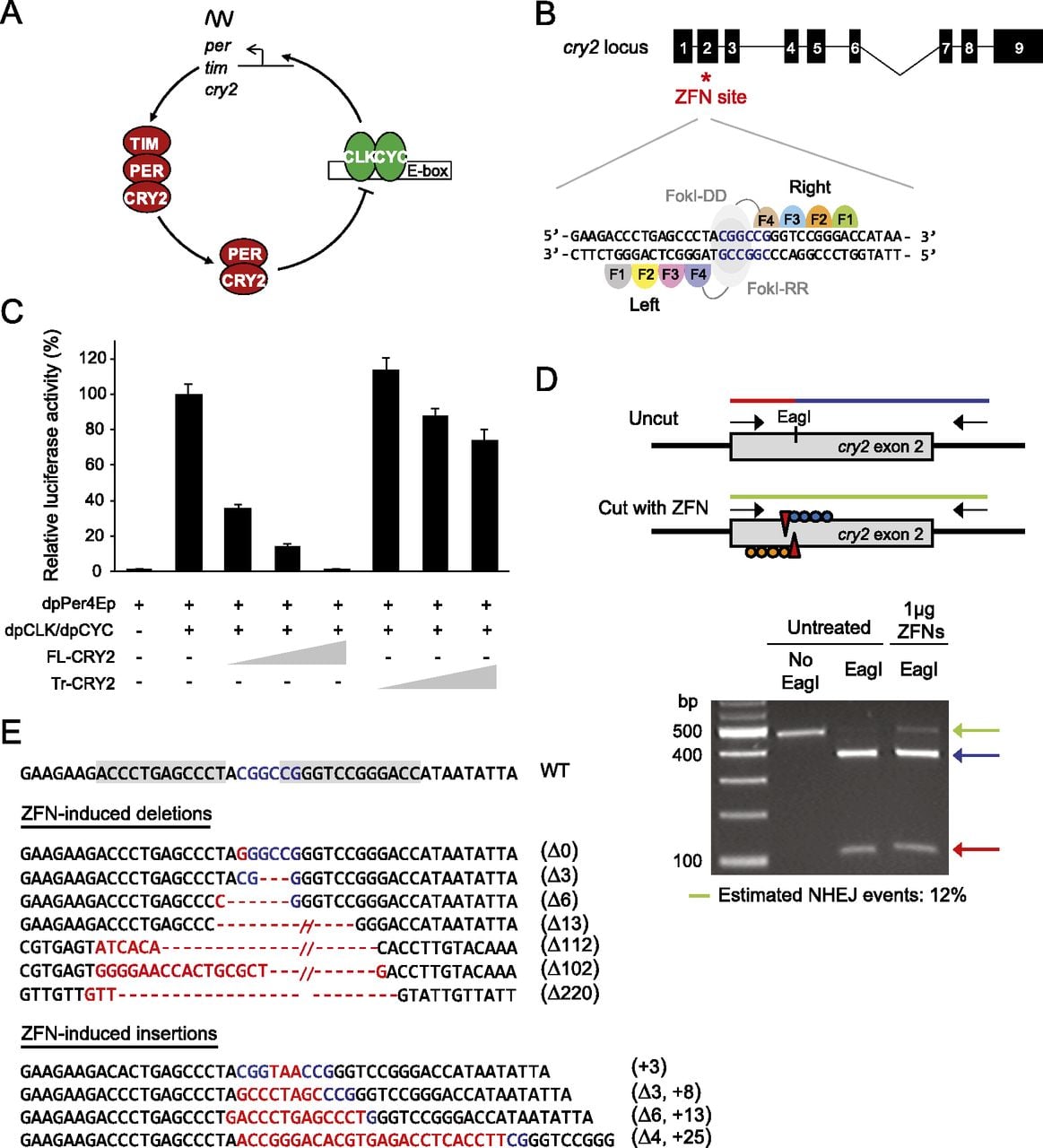 159fig1