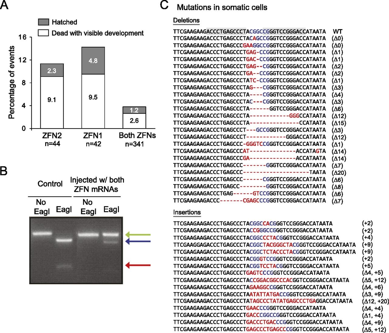 159fig3