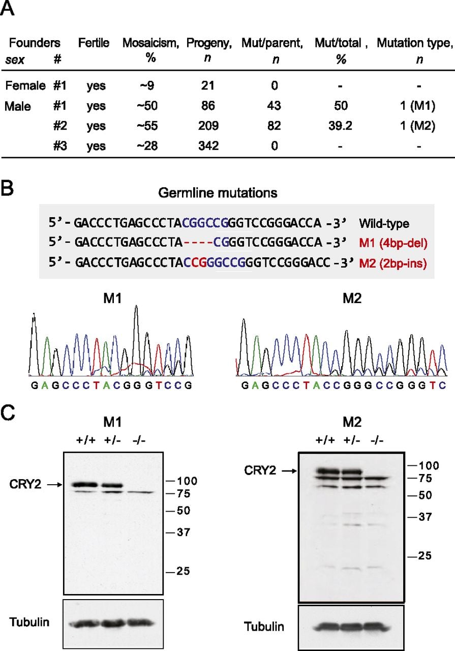 159fig4
