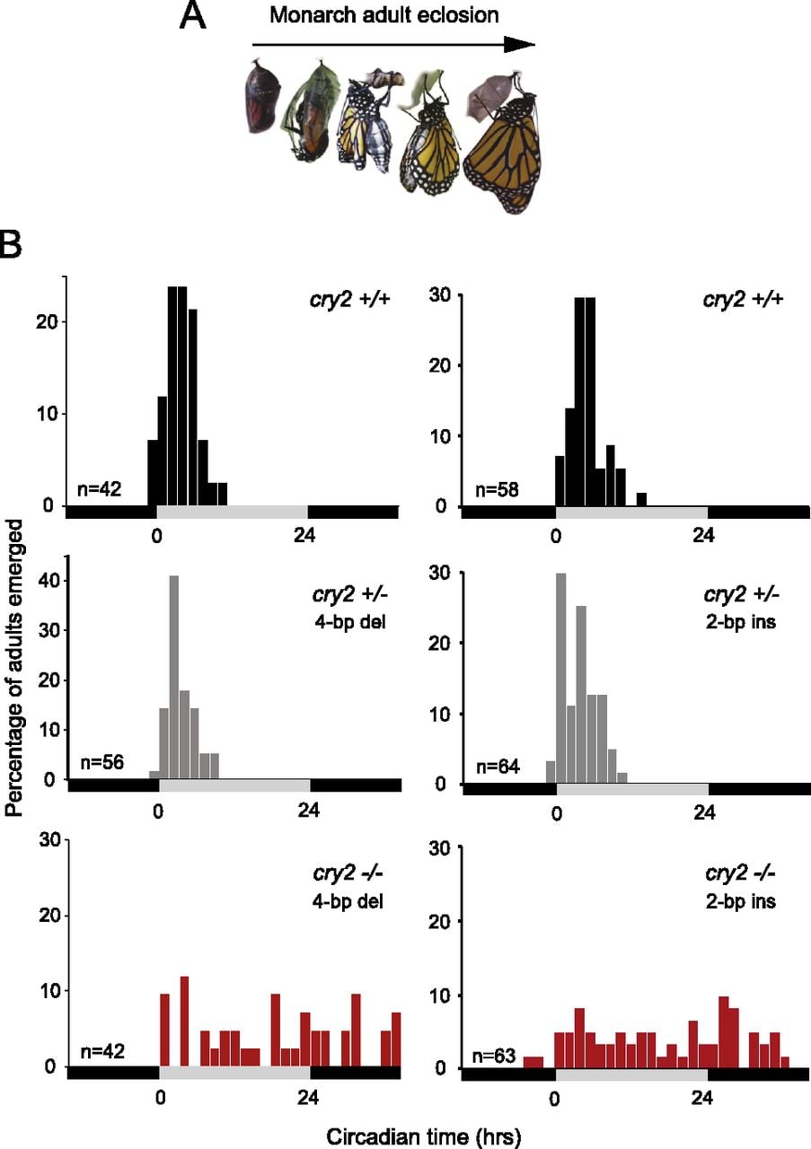 159fig5