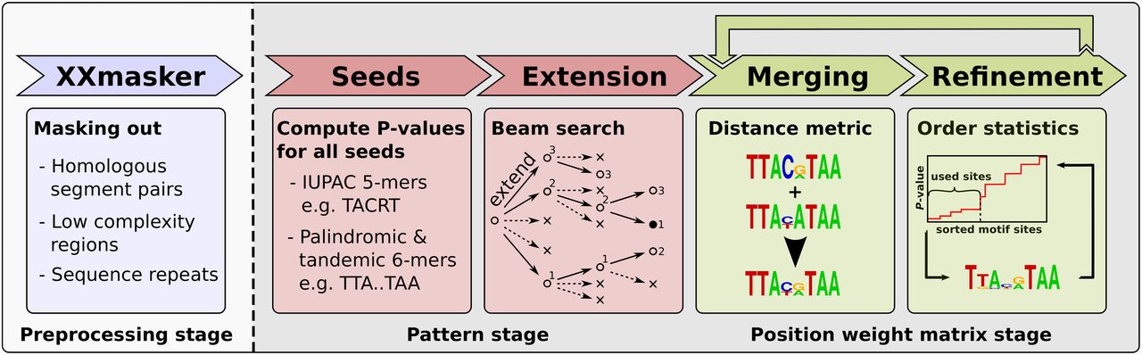 181fig1