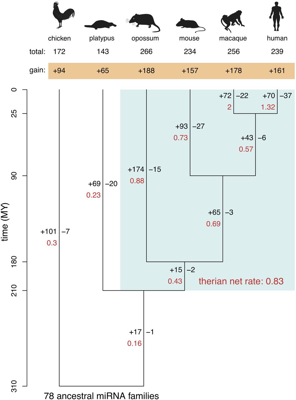 34fig1