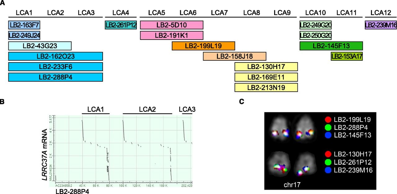 46fig3
